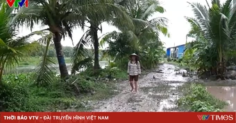 Cà Mau: Hơn 40 năm chờ một con đường
