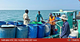 Cà Mau: Hơn 40.000 lít nước ngọt đến với người dân đảo Hòn Chuối