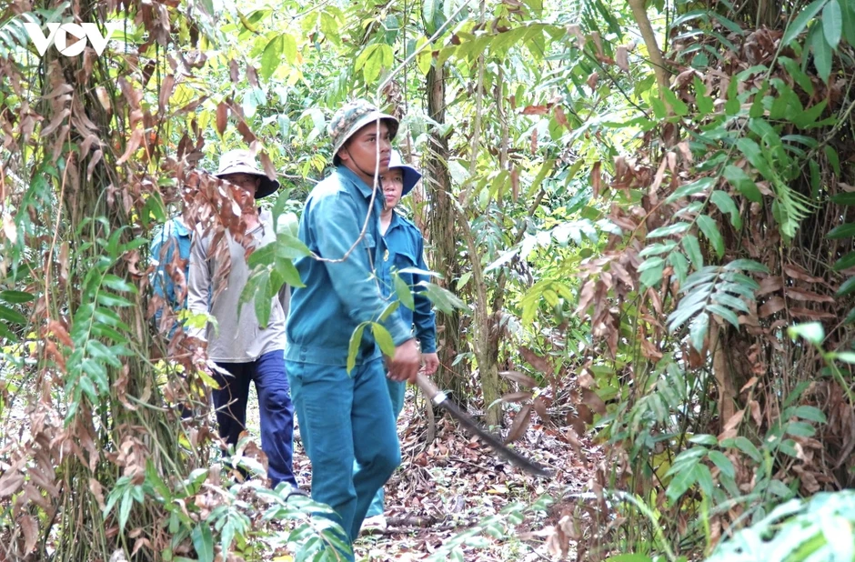 Cà Mau: Không lơ là trong công tác phòng cháy chữa cháy rừng Cà Mau: Không lơ là trong công tác phòng cháy chữa cháy rừng