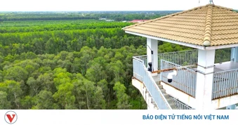 Cà Mau: Không lơ là trong công tác phòng cháy chữa cháy rừng