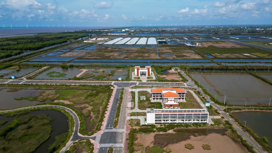 Cà Mau lập Ban Chỉ đạo gỡ các dự án tồn đọng