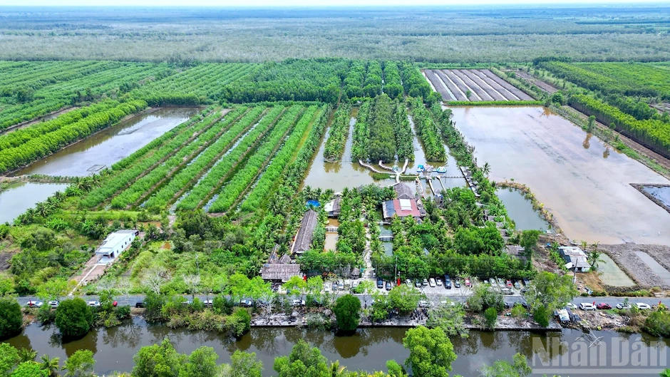 Cà Mau phát triển nông thôn bền vững, nông thôn đáng sống Cà Mau phát triển nông thôn bền vững, nông thôn đáng sống