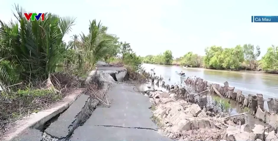 Cà Mau: Sụt lún nghiêm trọng đường giao thông nông thôn tại huyện Cái Nước