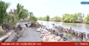 Cà Mau: Sụt lún nghiêm trọng đường giao thông nông thôn tại huyện Cái Nước