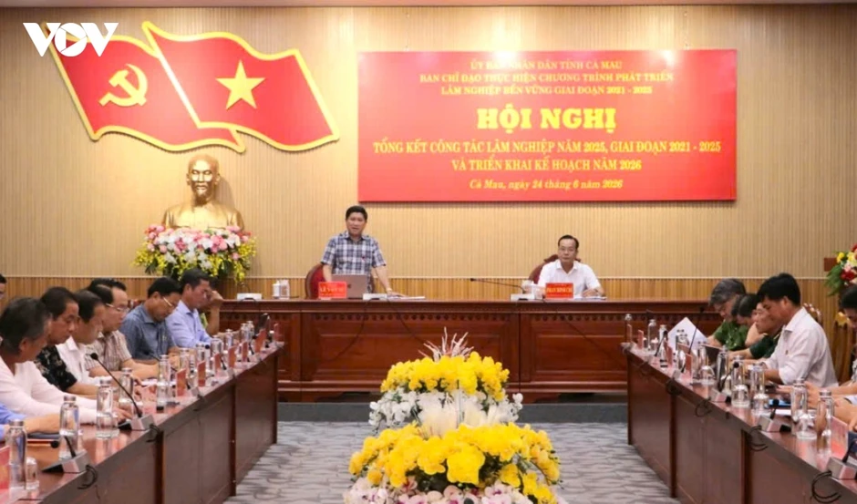 Cà Mau: Trồng rừng không đủ bù sạt lở mất rừng Cà Mau: Trồng rừng không đủ bù sạt lở mất rừng