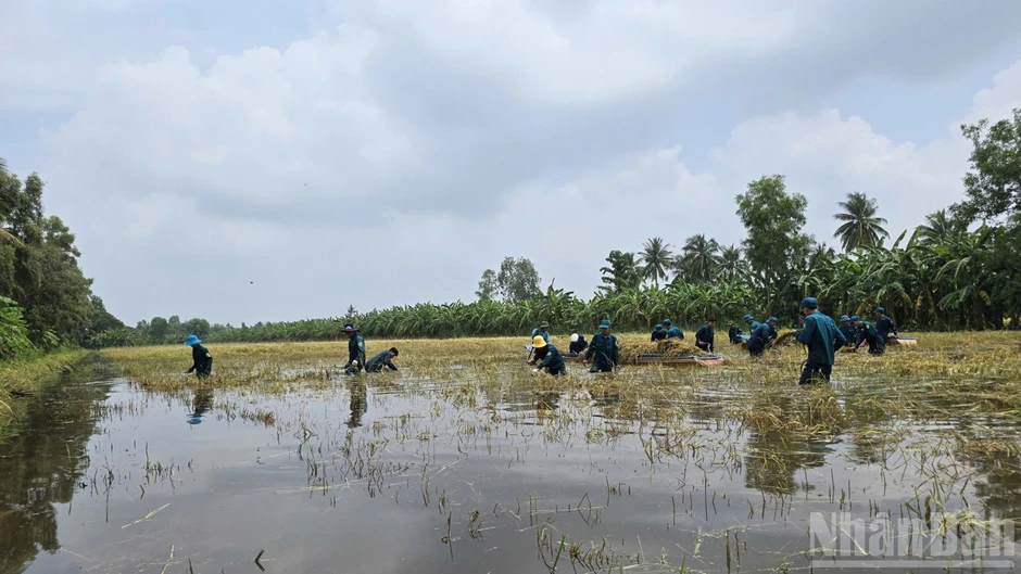 Cà Mau ưu tiên an toàn của dân, khẩn trương khôi phục sản xuất