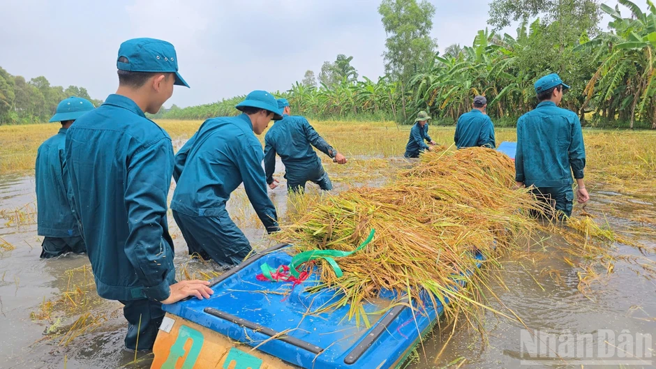 Cà Mau ưu tiên an toàn của dân, khẩn trương khôi phục sản xuất