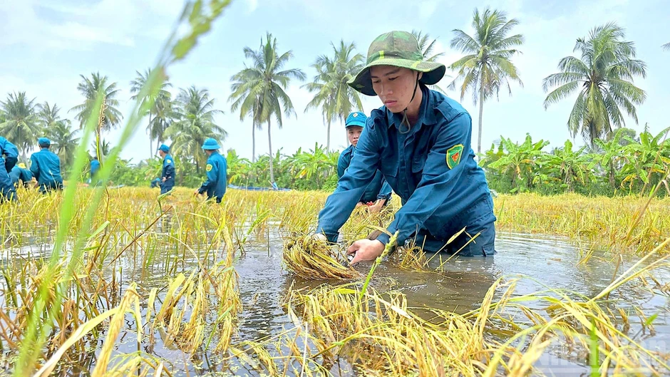 Cà Mau ưu tiên an toàn của dân, khẩn trương khôi phục sản xuất