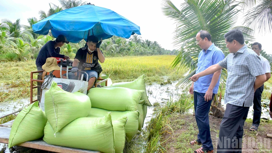 Cà Mau ưu tiên an toàn của dân, khẩn trương khôi phục sản xuất