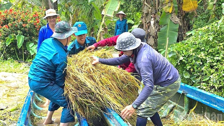 Cà Mau ưu tiên an toàn của dân, khẩn trương khôi phục sản xuất
