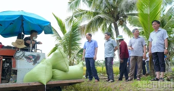 Cà Mau ưu tiên an toàn của dân, khẩn trương khôi phục sản xuất