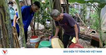 Ca sốt xuất huyết ở TP.HCM tăng 20%, bệnh nhân cần chú ý giai đoạn nguy hiểm