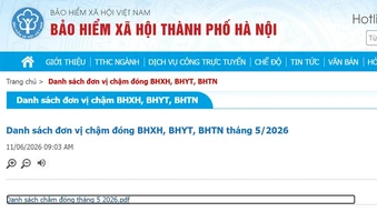 Các quy định xử lý hành vi chậm đóng, trốn đóng bảo hiểm xã hội, bảo hiểm y tế