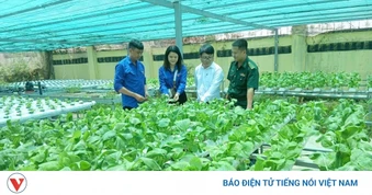 Cán bộ, chiến sĩ biên phòng Cần Thơ làm chủ mô hình rau sạch