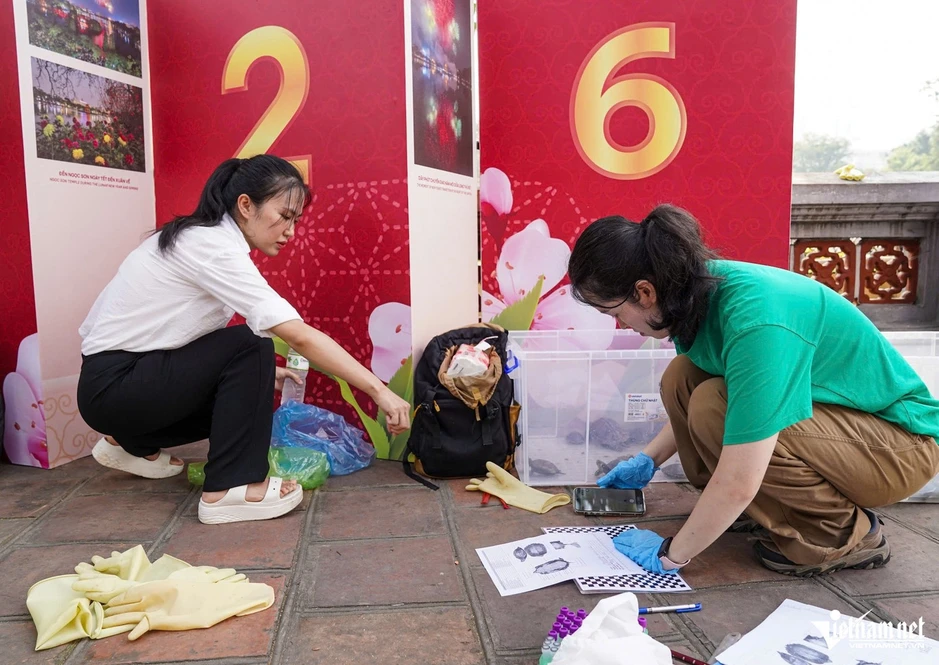 Cận cảnh bắt rùa tai đỏ, cổ sọc quanh đền Ngọc Sơn Cận cảnh bắt rùa tai đỏ, cổ sọc quanh đền Ngọc Sơn