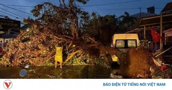 Cận cảnh dông lốc cực mạnh làm hàng loạt cây xanh ngã đổ tại xã Ea Kar, Đắk Lắk