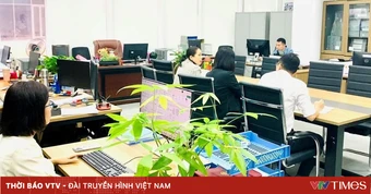 Căn cứ xếp ngạch công chức
