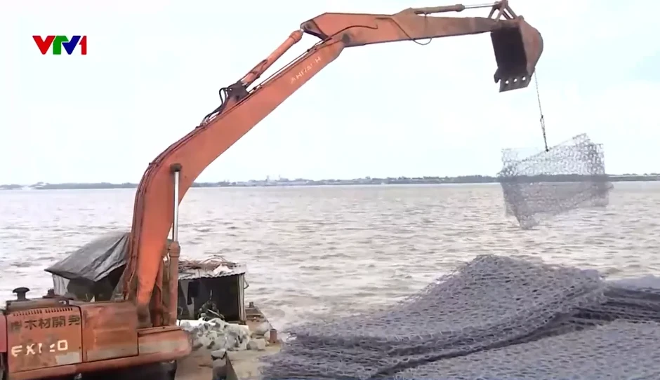 Cần Thơ chạy đua gia cố, bảo vệ đê phòng hộ ven sông Hậu Cần Thơ chạy đua gia cố, bảo vệ đê phòng hộ ven sông Hậu