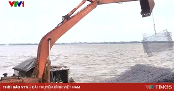Cần Thơ chạy đua gia cố, bảo vệ đê phòng hộ ven sông Hậu