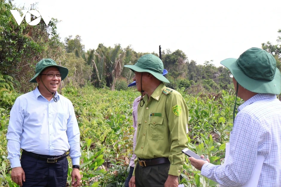 Cần Thơ nâng cấp cảnh báo cháy rừng lên cấp nguy hiểm