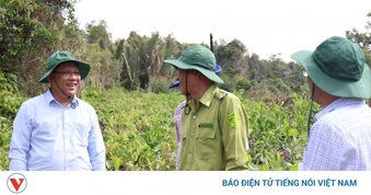 Cần Thơ nâng cấp cảnh báo cháy rừng lên cấp nguy hiểm