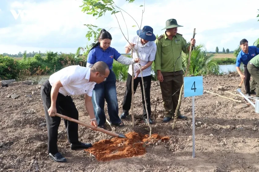 Cần Thơ phủ xanh các tuyến đường nông thôn Cần Thơ phủ xanh các tuyến đường nông thôn