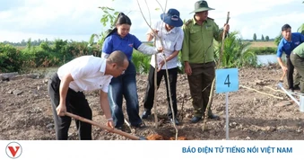 Cần Thơ phủ xanh các tuyến đường nông thôn