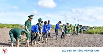 Cần Thơ trồng bổ sung 17ha rừng phòng hộ ven biển