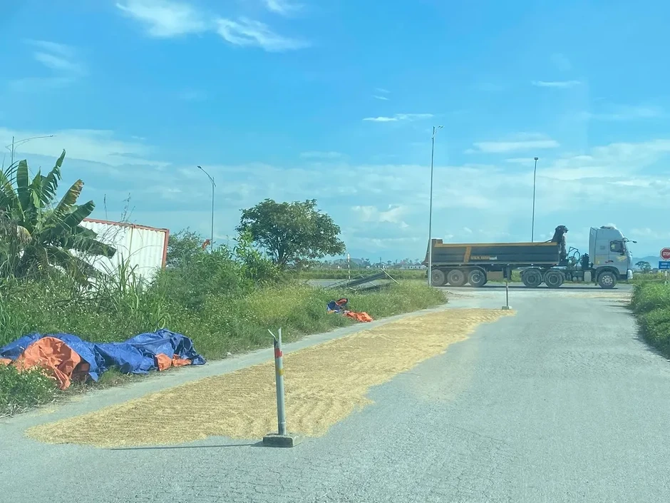 Cảnh báo nguy cơ cháy do phơi, đốt rơm rạ mùa thu hoạch lúa Cảnh báo nguy cơ cháy do phơi, đốt rơm rạ mùa thu hoạch lúa
