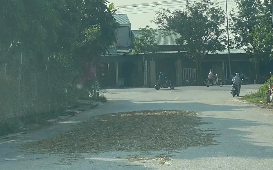 Cảnh báo nguy cơ cháy do phơi, đốt rơm rạ mùa thu hoạch lúa Cảnh báo nguy cơ cháy do phơi, đốt rơm rạ mùa thu hoạch lúa