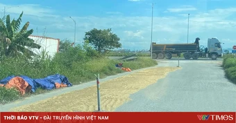 Cảnh báo nguy cơ cháy do phơi, đốt rơm rạ mùa thu hoạch lúa