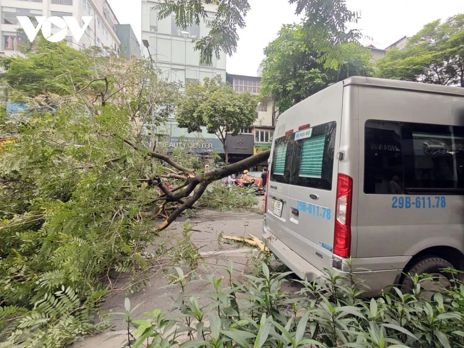 Cành cây lớn gẫy đè trúng ô tô trên phố Bà Triệu (Hà Nội) vào giờ cao điểm