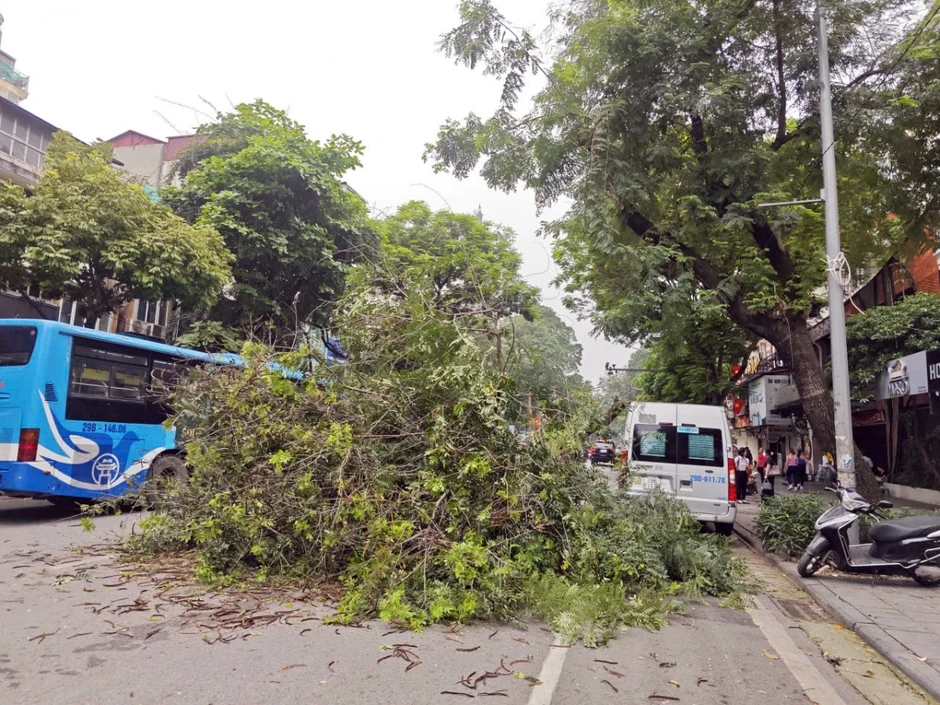 Cành cây lớn gẫy đè trúng ô tô trên phố Bà Triệu (Hà Nội) vào giờ cao điểm