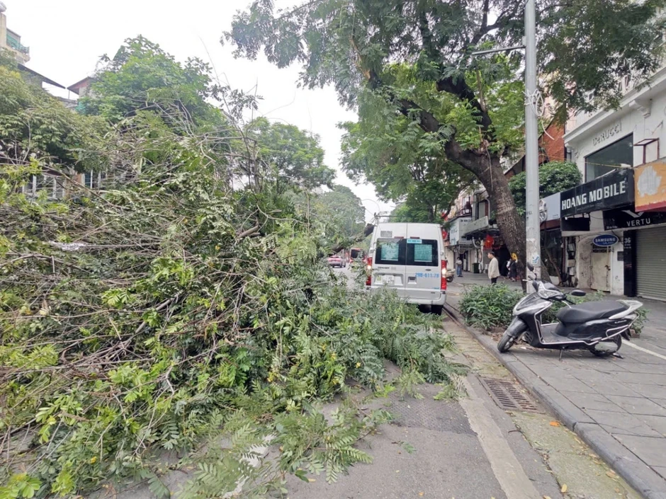 Cành cây lớn gẫy đè trúng ô tô trên phố Bà Triệu (Hà Nội) vào giờ cao điểm