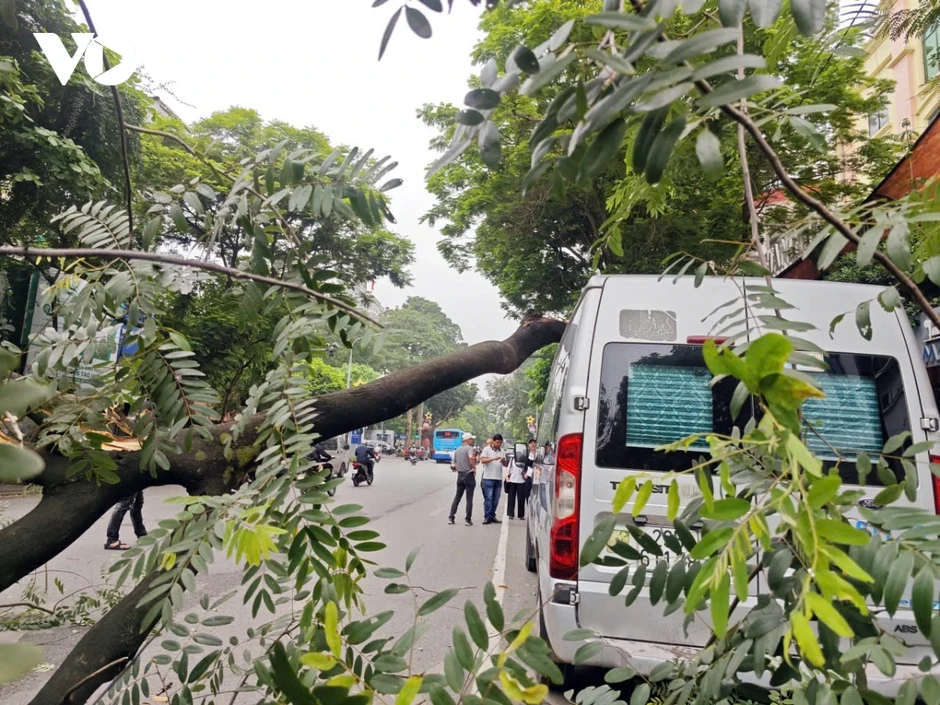 Cành cây lớn gẫy đè trúng ô tô trên phố Bà Triệu (Hà Nội) vào giờ cao điểm