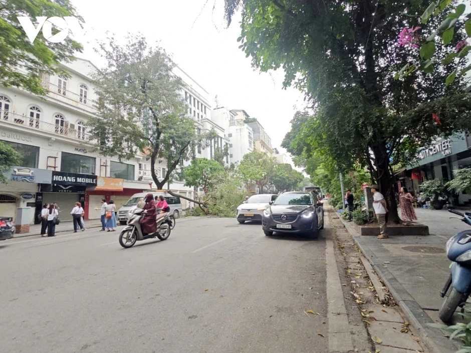 Cành cây lớn gẫy đè trúng ô tô trên phố Bà Triệu (Hà Nội) vào giờ cao điểm