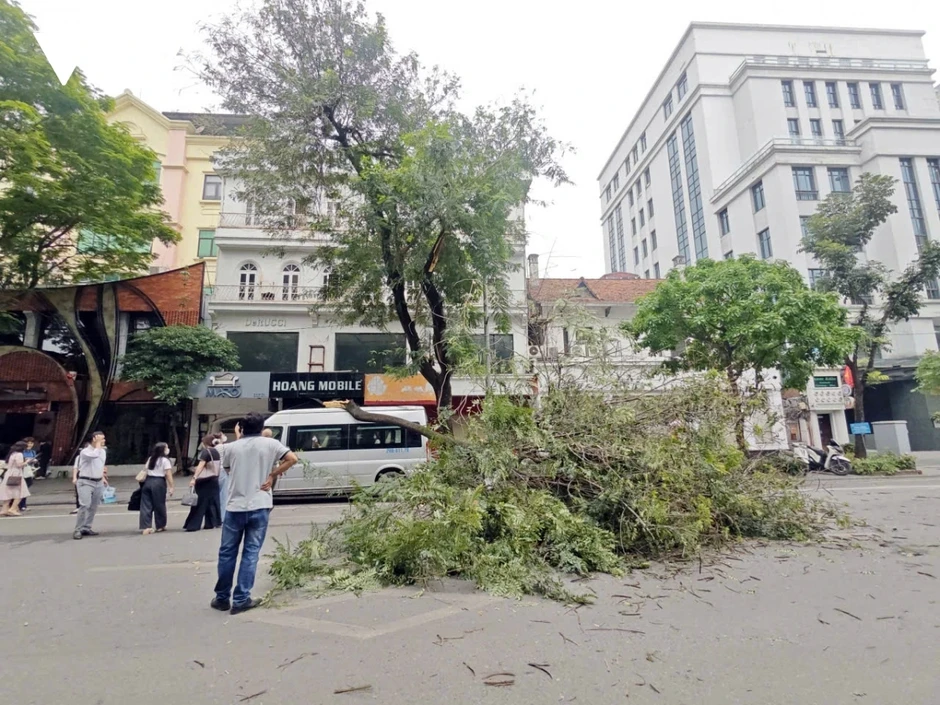 Cành cây lớn gẫy đè trúng ô tô trên phố Bà Triệu (Hà Nội) vào giờ cao điểm