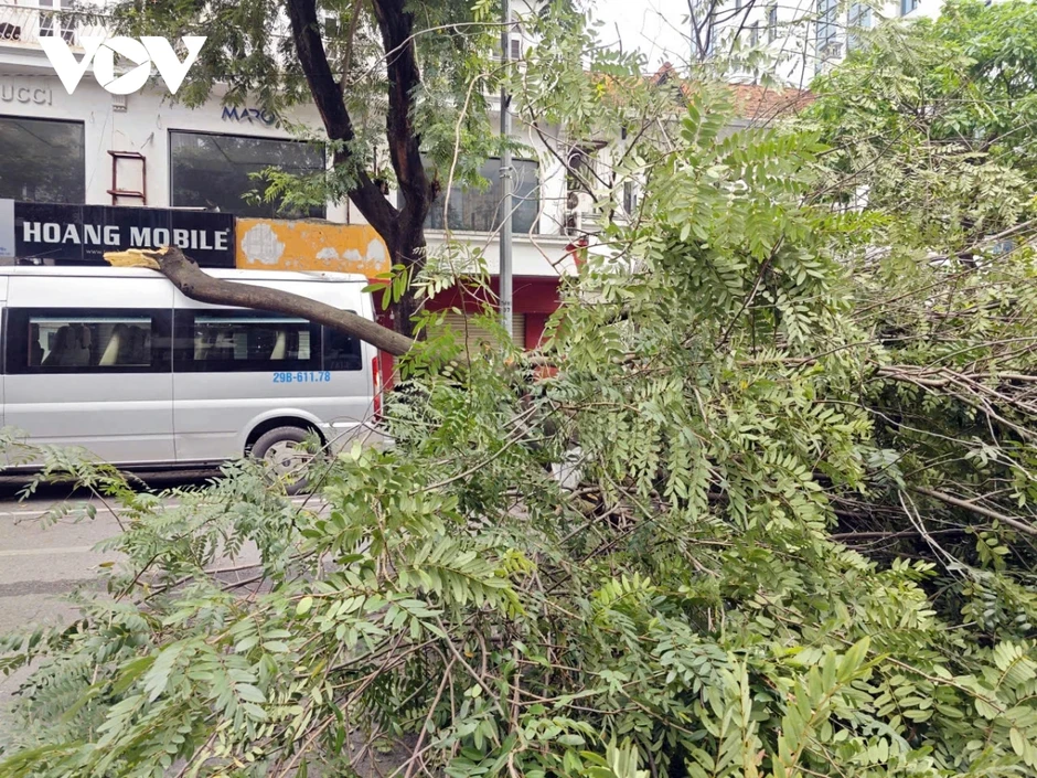 Cành cây lớn gẫy đè trúng ô tô trên phố Bà Triệu (Hà Nội) vào giờ cao điểm