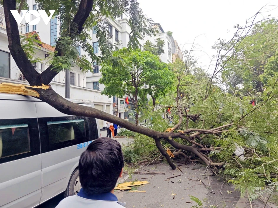 Cành cây lớn gẫy đè trúng ô tô trên phố Bà Triệu (Hà Nội) vào giờ cao điểm