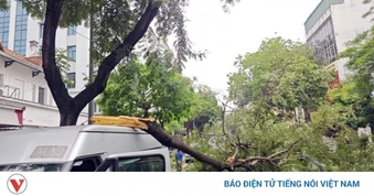 Cành cây lớn gẫy đè trúng ô tô trên phố Bà Triệu (Hà Nội) vào giờ cao điểm