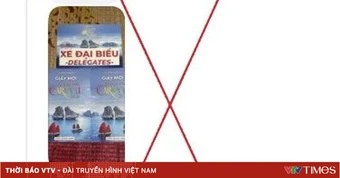 Cảnh giác lợi dụng Carnaval Hạ Long lừa đảo bán vé để trục lợi