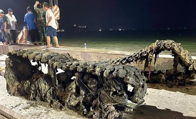 Cảnh tượng trên bờ biển Quy Nhơn khiến nhiều người bất ngờ, nhận xét: Không tin vào mắt mình Cảnh tượng trên bờ biển Quy Nhơn khiến nhiều người bất ngờ, nhận xét: Không tin vào mắt mình