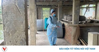 Cao Bằng ngăn dịch tả lợn châu Phi lan rộng
