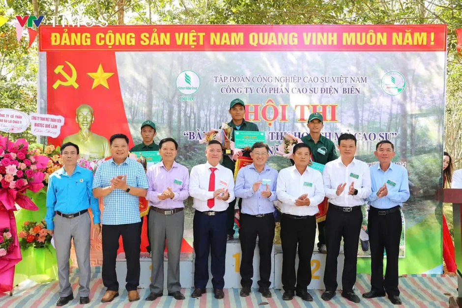 Cao su Điện Biên: Gieo sinh kế bền vững trên vùng đất khó Cao su Điện Biên: Gieo sinh kế bền vững trên vùng đất khó