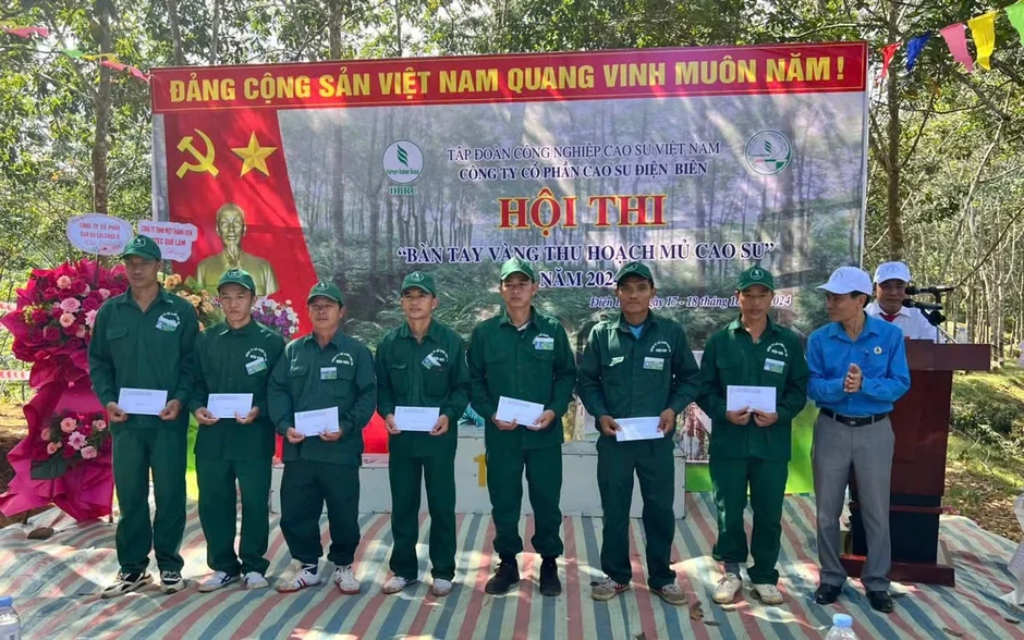 Cao su Điện Biên: Gieo sinh kế bền vững trên vùng đất khó Cao su Điện Biên: Gieo sinh kế bền vững trên vùng đất khó