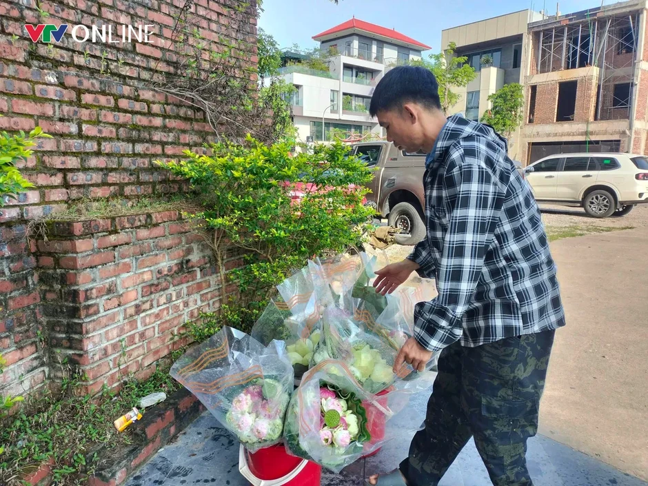 Cặp vợ chồng Nghệ An “bỏ phố về quê” trồng sen trên quê hương Bác Cặp vợ chồng Nghệ An “bỏ phố về quê” trồng sen trên quê hương Bác