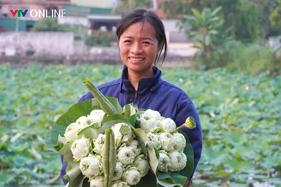Cặp vợ chồng Nghệ An “bỏ phố về quê” trồng sen trên quê hương Bác Cặp vợ chồng Nghệ An “bỏ phố về quê” trồng sen trên quê hương Bác