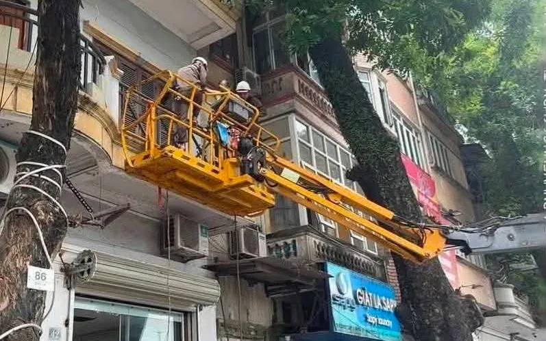 Cắt tỉa cây giải cứu cụ bà bị mắc kẹt ngoài ban công Cắt tỉa cây giải cứu cụ bà bị mắc kẹt ngoài ban công