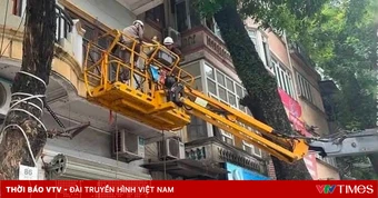Cắt tỉa cây giải cứu cụ bà bị mắc kẹt ngoài ban công