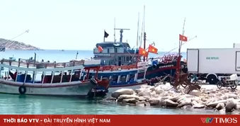 Cầu cảng Bãi Kinh xuống cấp, tàu thuyền phải cập bến tạm